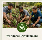 Workforce Development